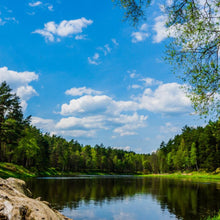 Įkelti vaizdą į galerijos rodinį, Žygis Neries regioniniu parku 🌲
