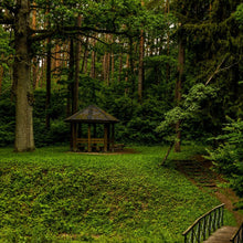 Įkelti vaizdą į galerijos rodinį, Žygis Neries regioniniu parku 🌲
